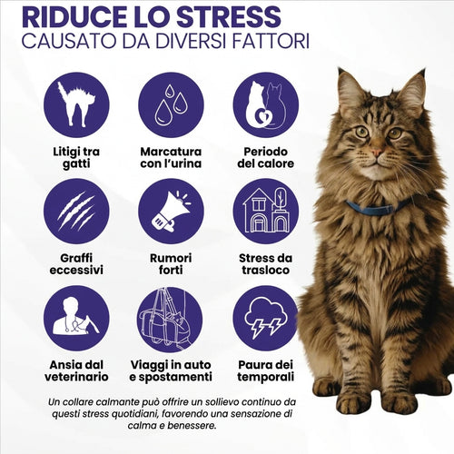 Feluxia collare calmante gatto