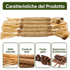 Feluxia Bastoncini Dentali Silvervine per Gatti