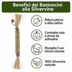Feluxia Bastoncini Dentali Silvervine per Gatti